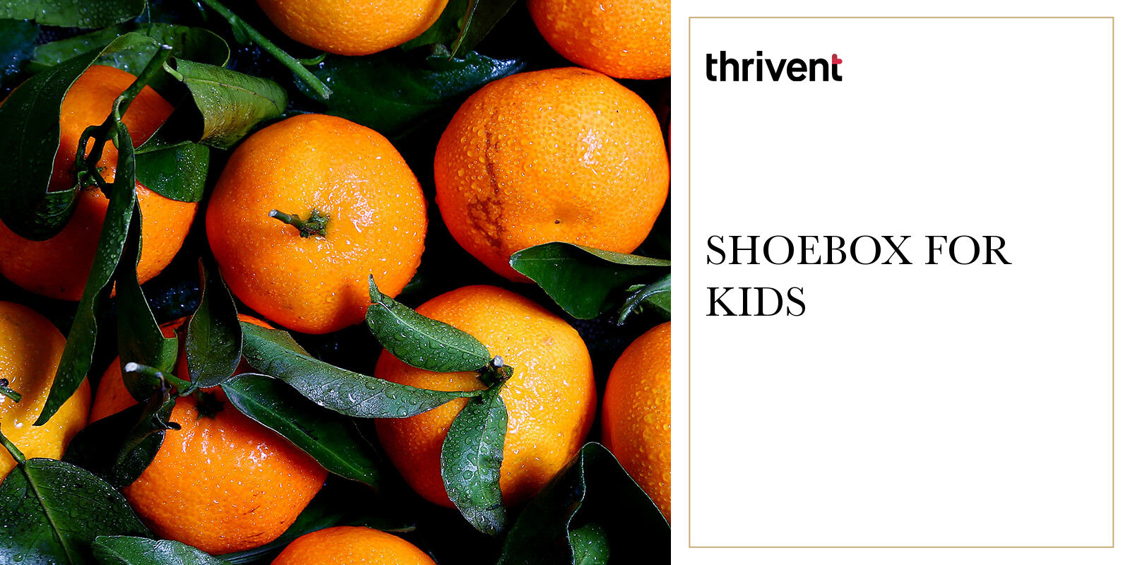  shoebox for kids thrivent action teams livegenerously